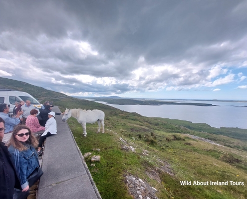 94b9fa40-2d32-431f-8aa1-7d121a870f73