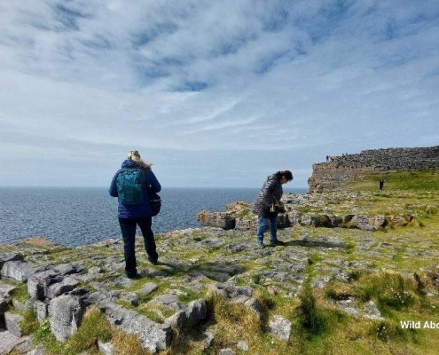 b7a94854-dfee-4894-ae53-9a99d06ae02d