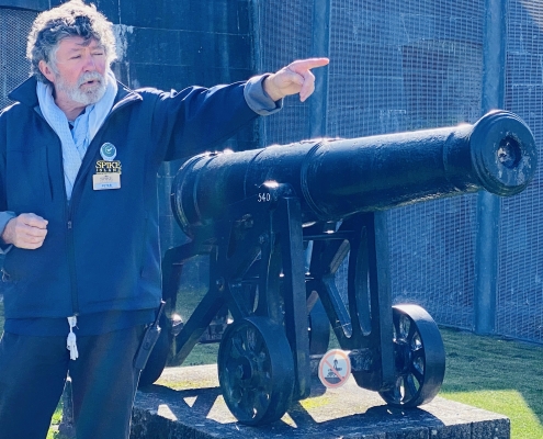 cannon_by_sinos__on_spike.