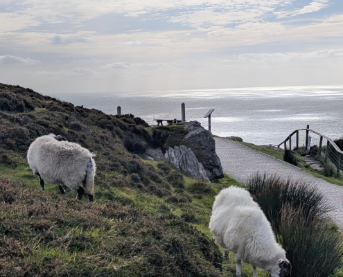 pxl_20250919_151832379