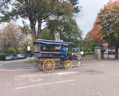 jaunting_cars_killarney